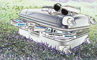 Du 11 au 21 juillet, venez emprunter les livres que vous glisserez dans votre valise pour l'été !